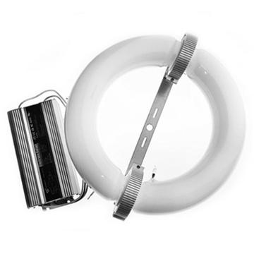 200W INDUCTION LAMP BALLAST KIT